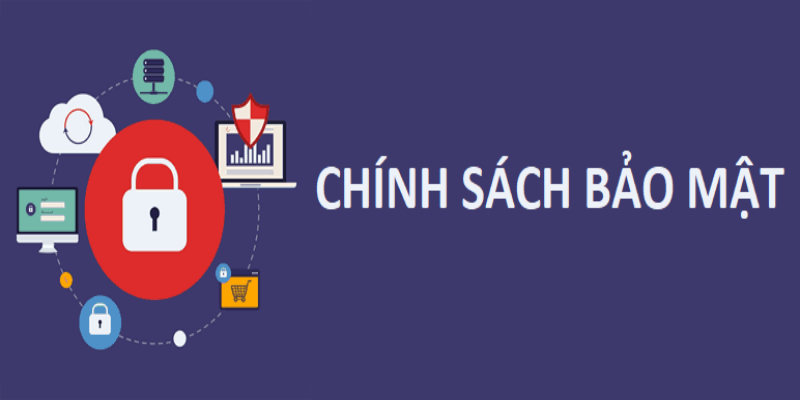 Các quy định về người dùng