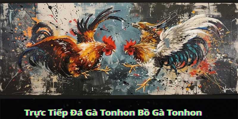 Trực Tiếp Đá Gà Tonhon